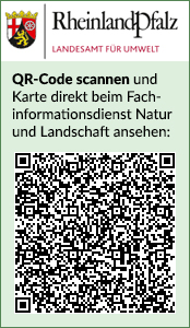 QR Code Karte